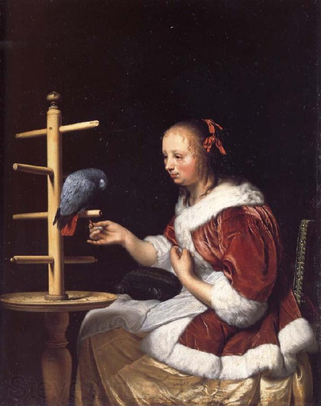 MIERIS, Frans van, the Elder A Woman in a Red Jacket Feeding a Parrot Norge oil painting art